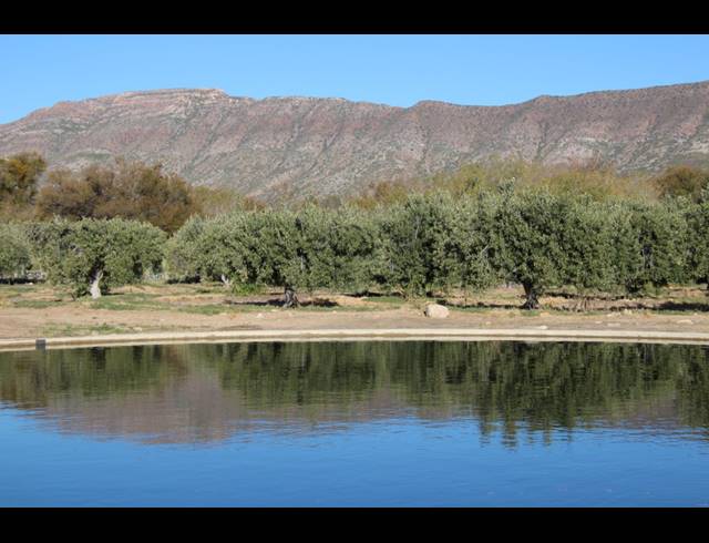 15HA FARM FOR SALE IN PRINCE ALBERT RURAL